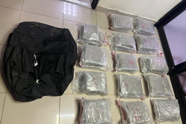 DNCD INCAUTA 42 PAQUETES DE PRESUNTA MARIHUANA EN AEROPUERTO DE PUNTA CANA