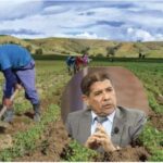 Agricultura solicita RD$1,800 millones para recuperar zonas afectadas por huracán Melissa; más de 36 mil tareas agrícolas dañadas